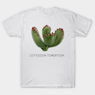 Bear paw cactus Genus Print T-Shirt